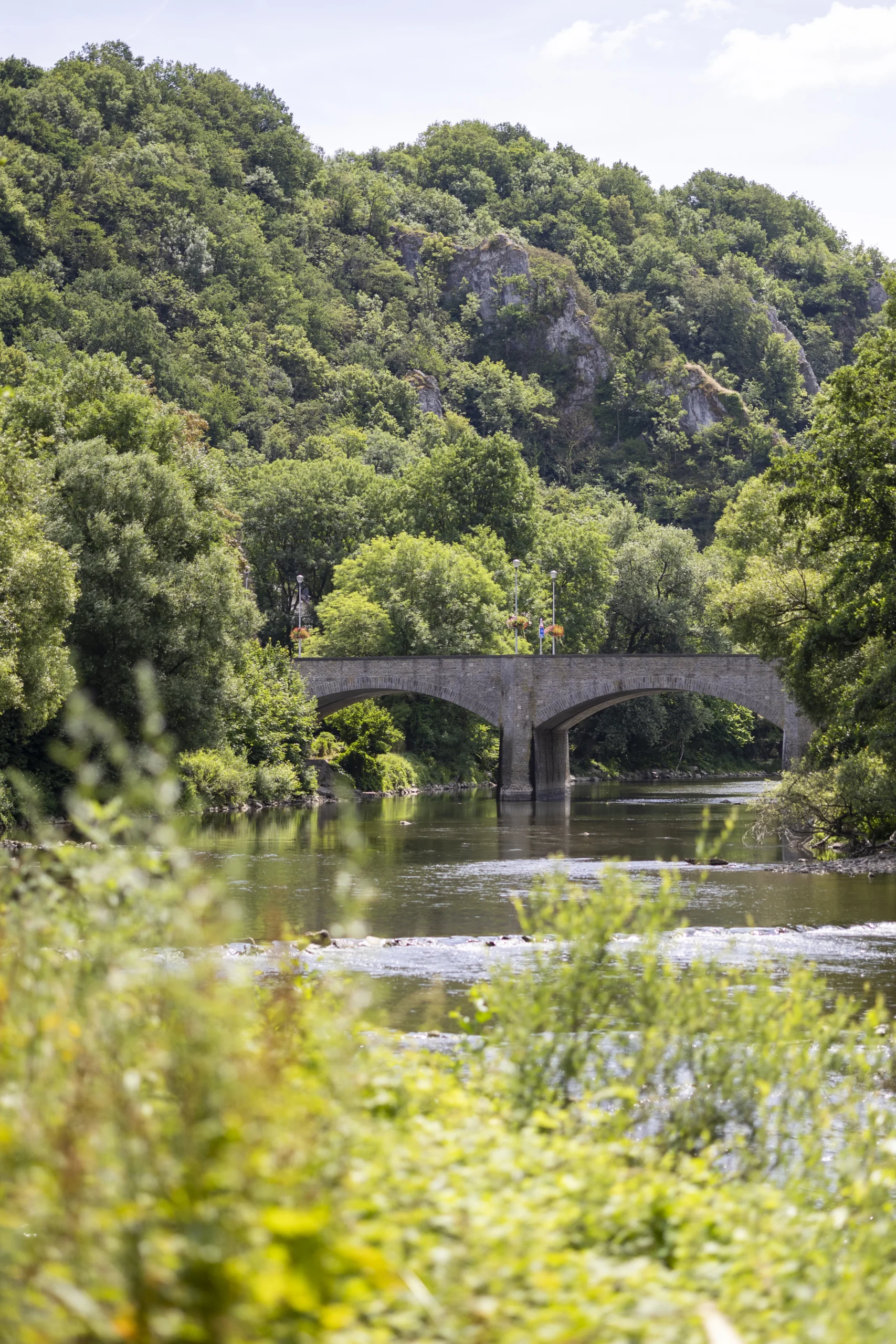 Vacances en Famille en Ardenne : 5 Activités Inoubliables