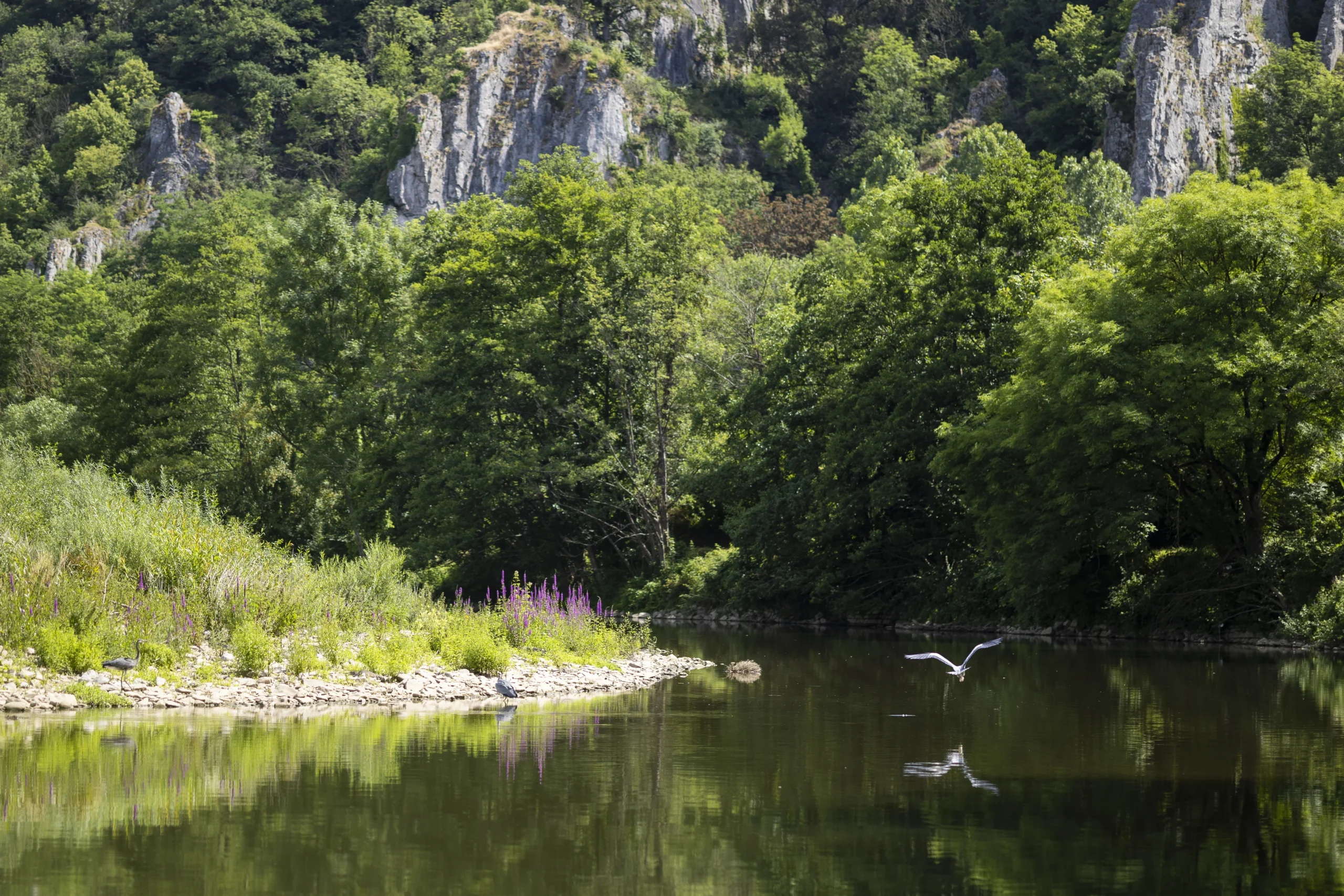 grotte de l abime comblain formations calcaires